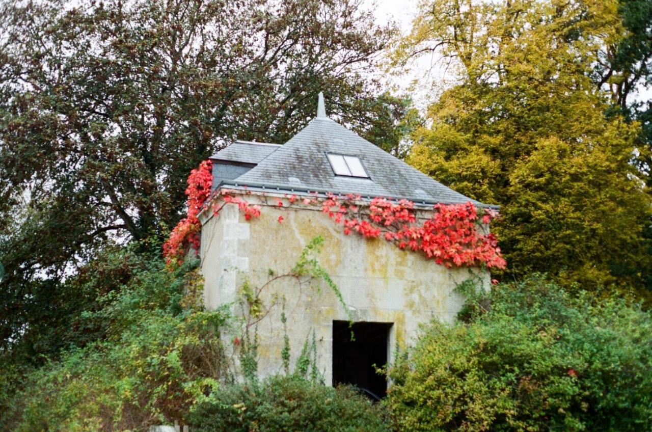 Chateau De La Huberdiere Nazelles-Negron Exterior photo