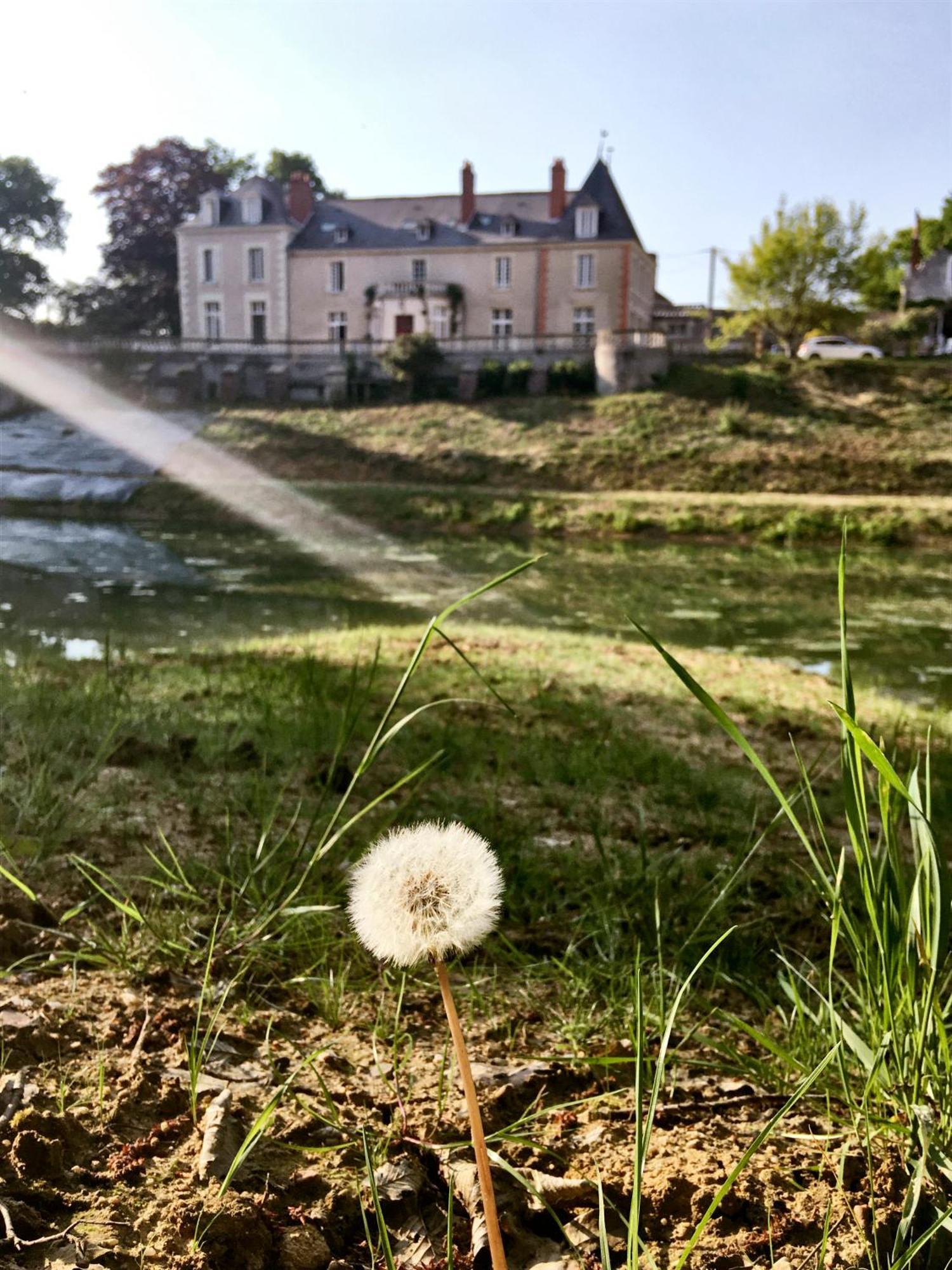 Chateau De La Huberdiere Nazelles-Negron Exterior photo