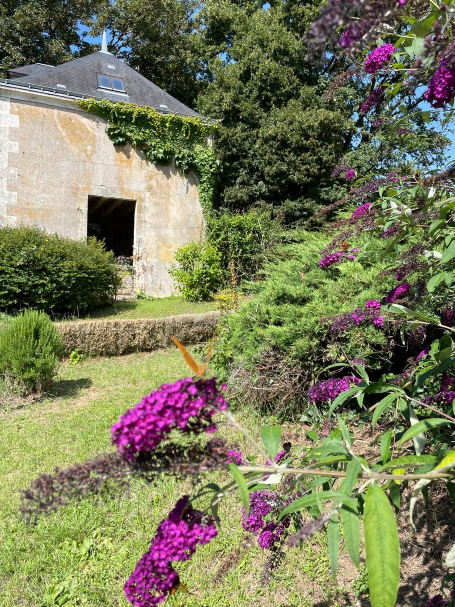 Chateau De La Huberdiere Nazelles-Negron Exterior photo
