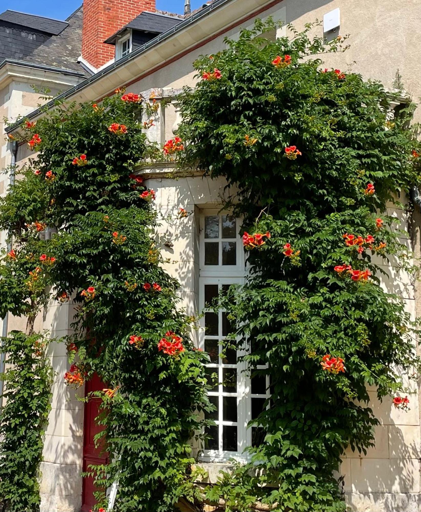 Chateau De La Huberdiere Nazelles-Negron Exterior photo